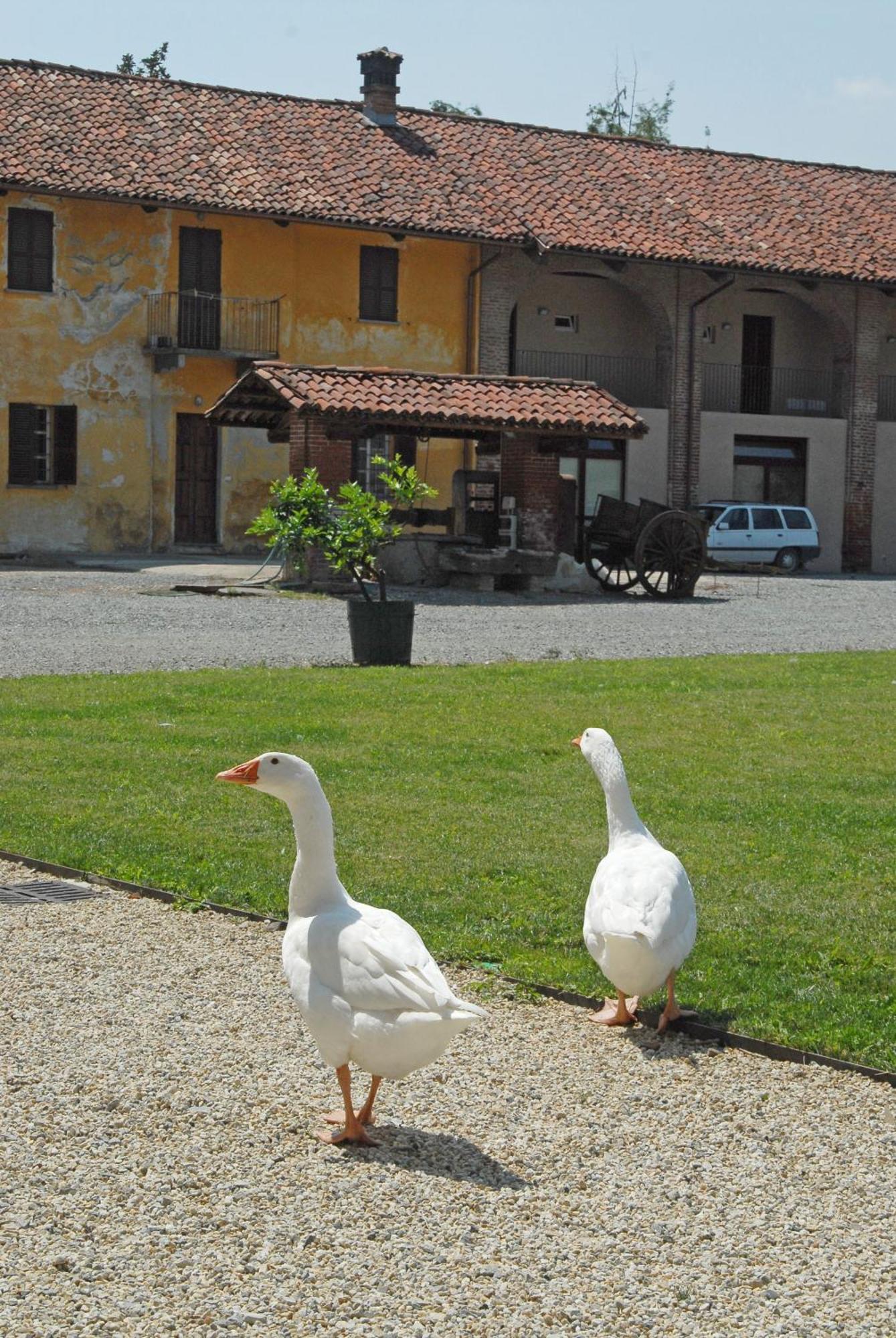 Hotel Antico Podere Propano Saluzzo Exterior photo